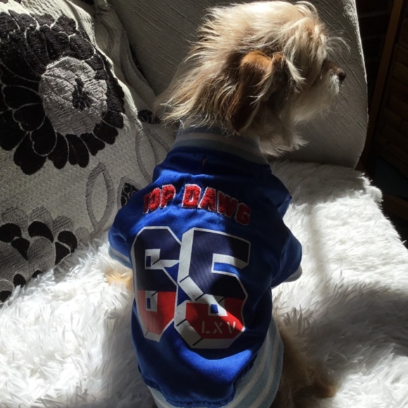 Pet jacket - Picture 2 of 6